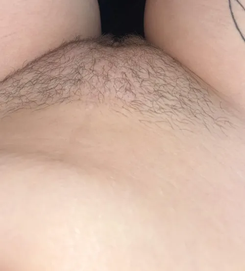 Another day, and some more growth ❤️