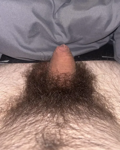 My soft dick (19)