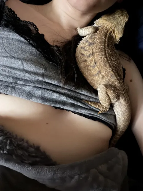 23 AuDHD Goth reptile queen with hyper mobile EDS. Underboob ft. Bearded dragon