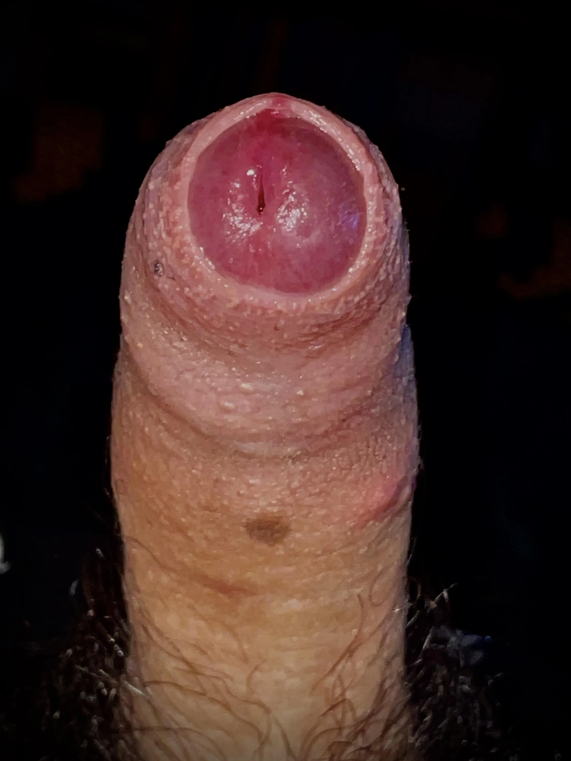 Why’s it so hard to find gay guys to compare and stroke with? [M29] Probably because my cocks small.