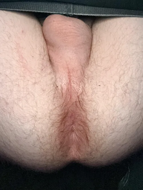 Anyone looking to fuck this tight bussy in dry prong