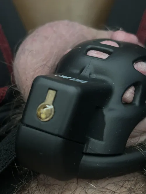 I did it! I finally got the courage to make it permanent