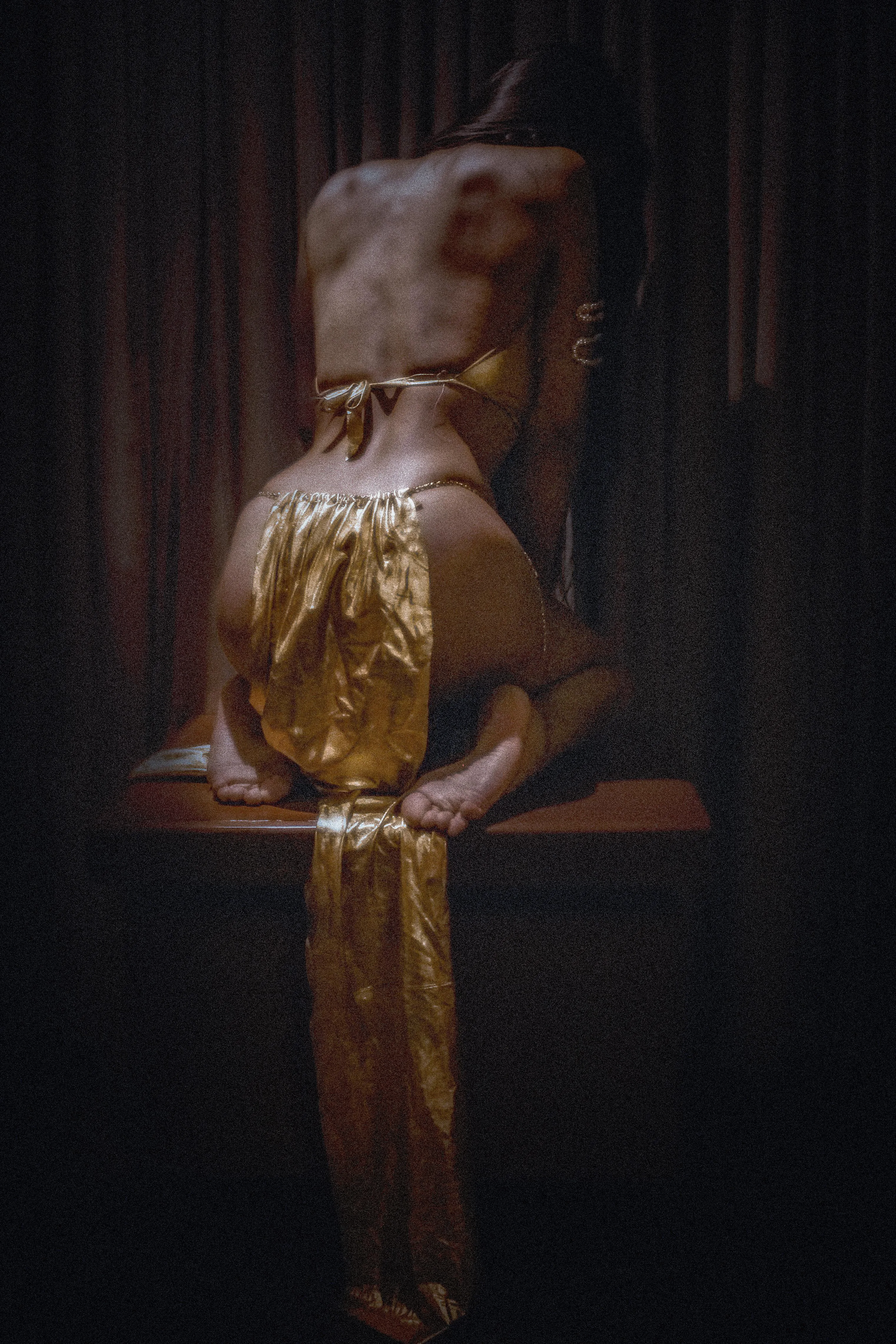 The sultan’s favorite ornament — alive, untamed, waiting.