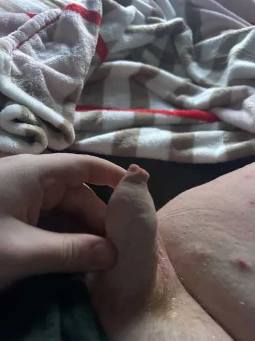 dm me I want to cum before I go sleep