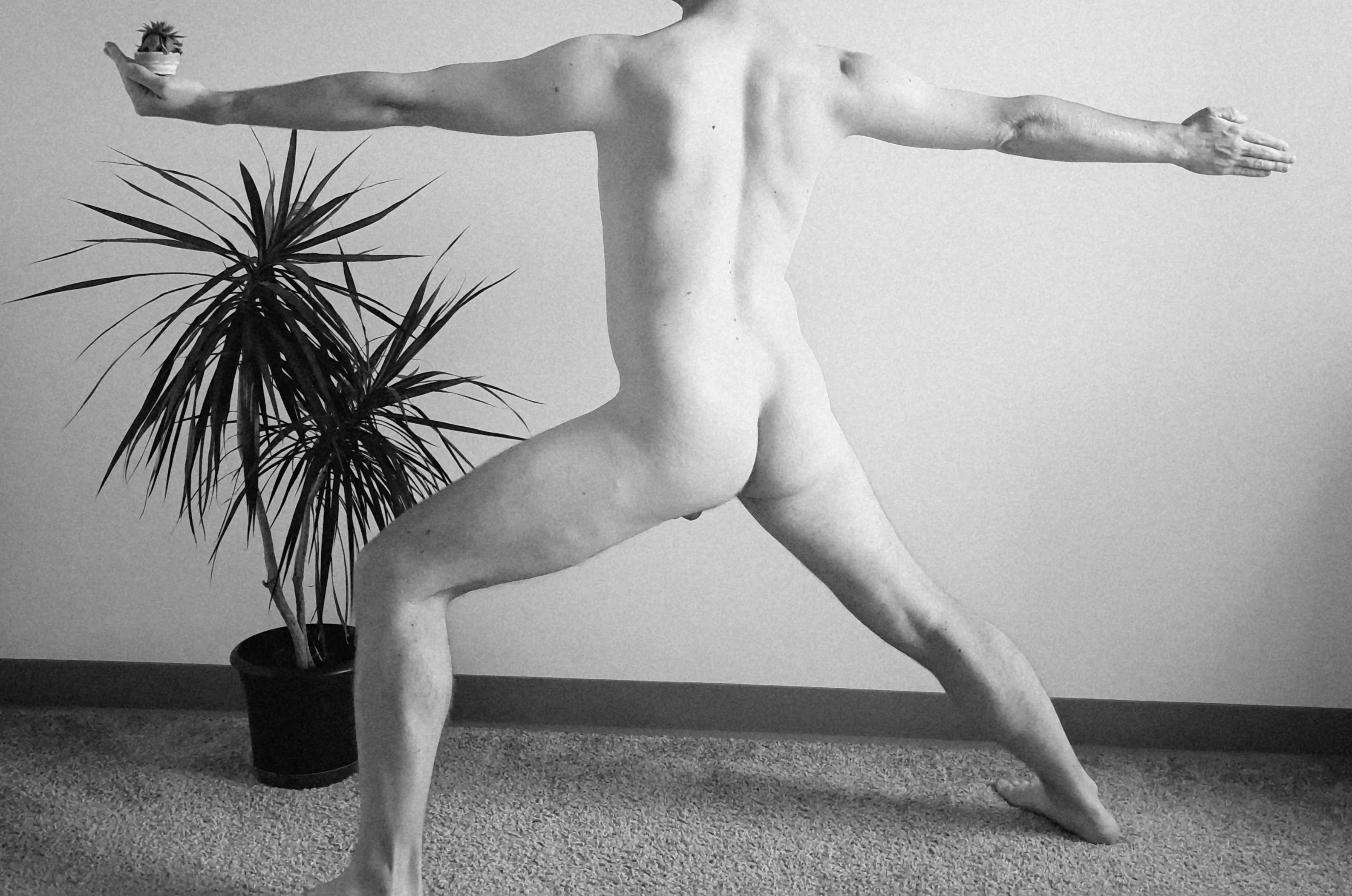 [M]ay I offer you a succulent?