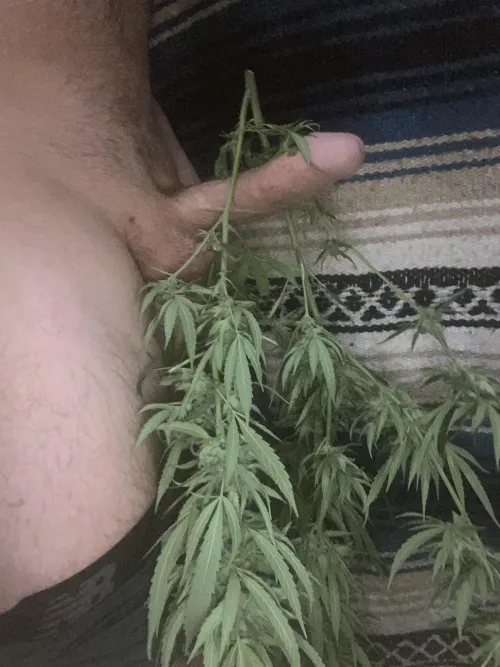 New drying method [m]