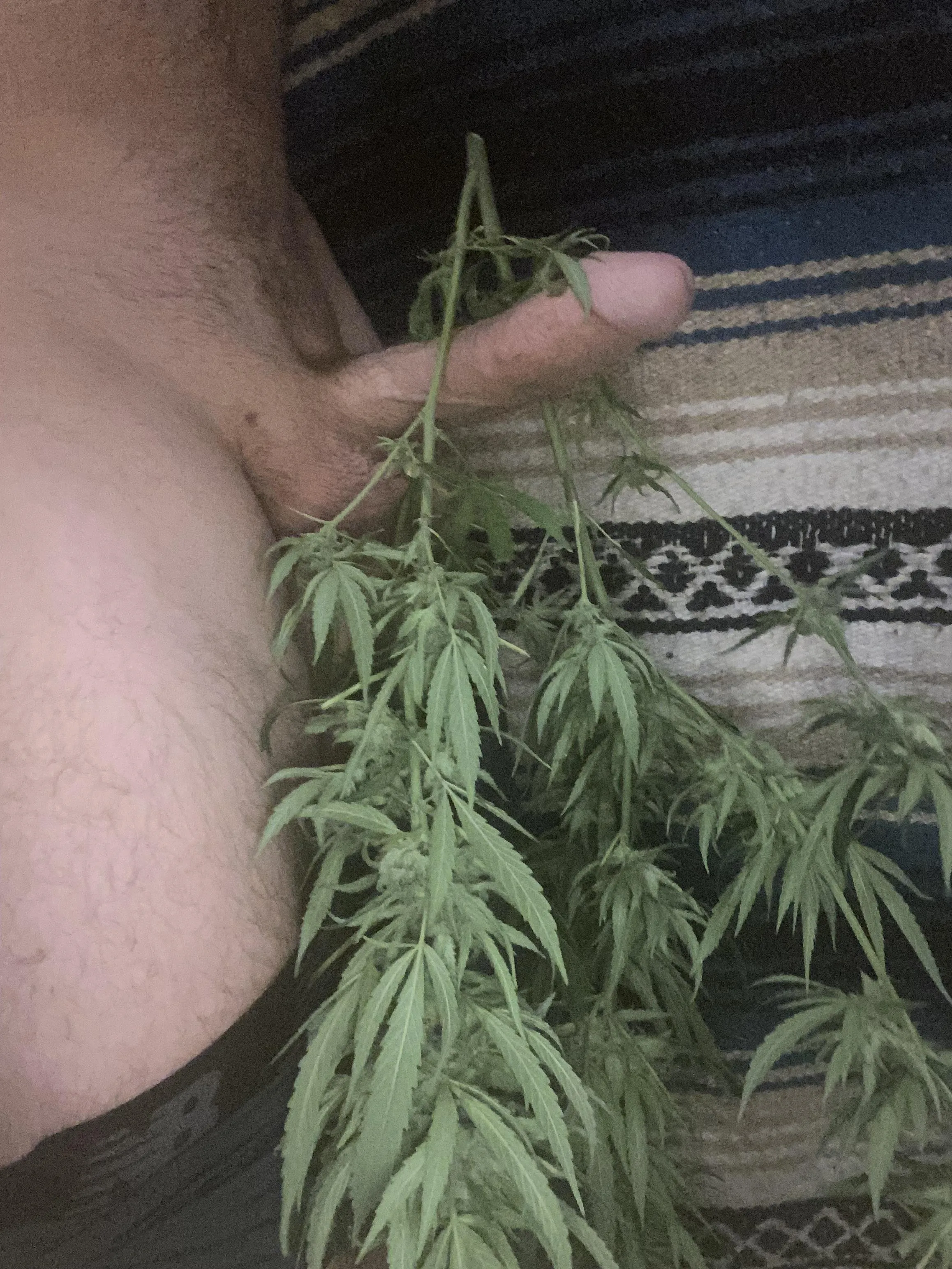 New drying method [m]