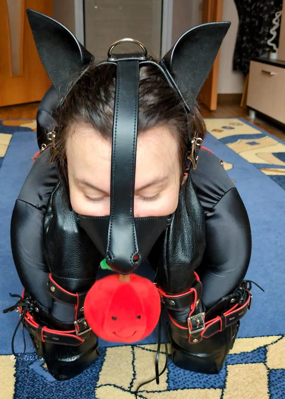 Brought the toy back to my Master