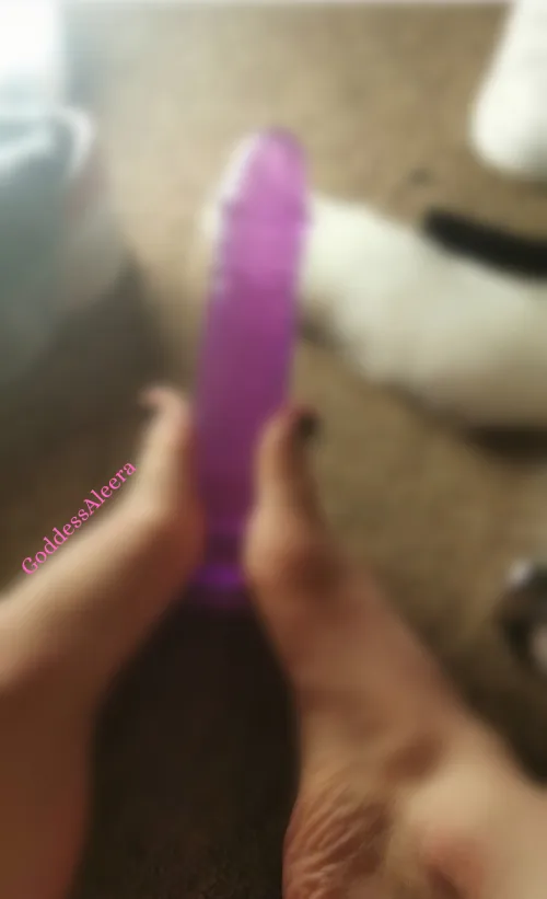 Haha this will never be you. Jealous of silicone? 🤭