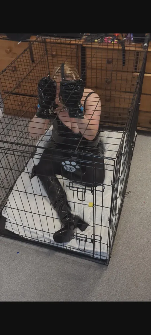 Wasn't so much pet play this time and was more about being left to ponder things for a while.