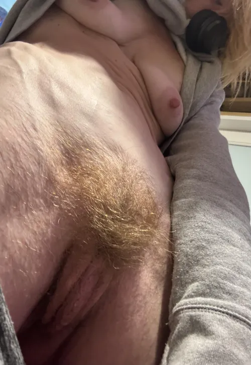 Wild untamed autumn foliage 50f