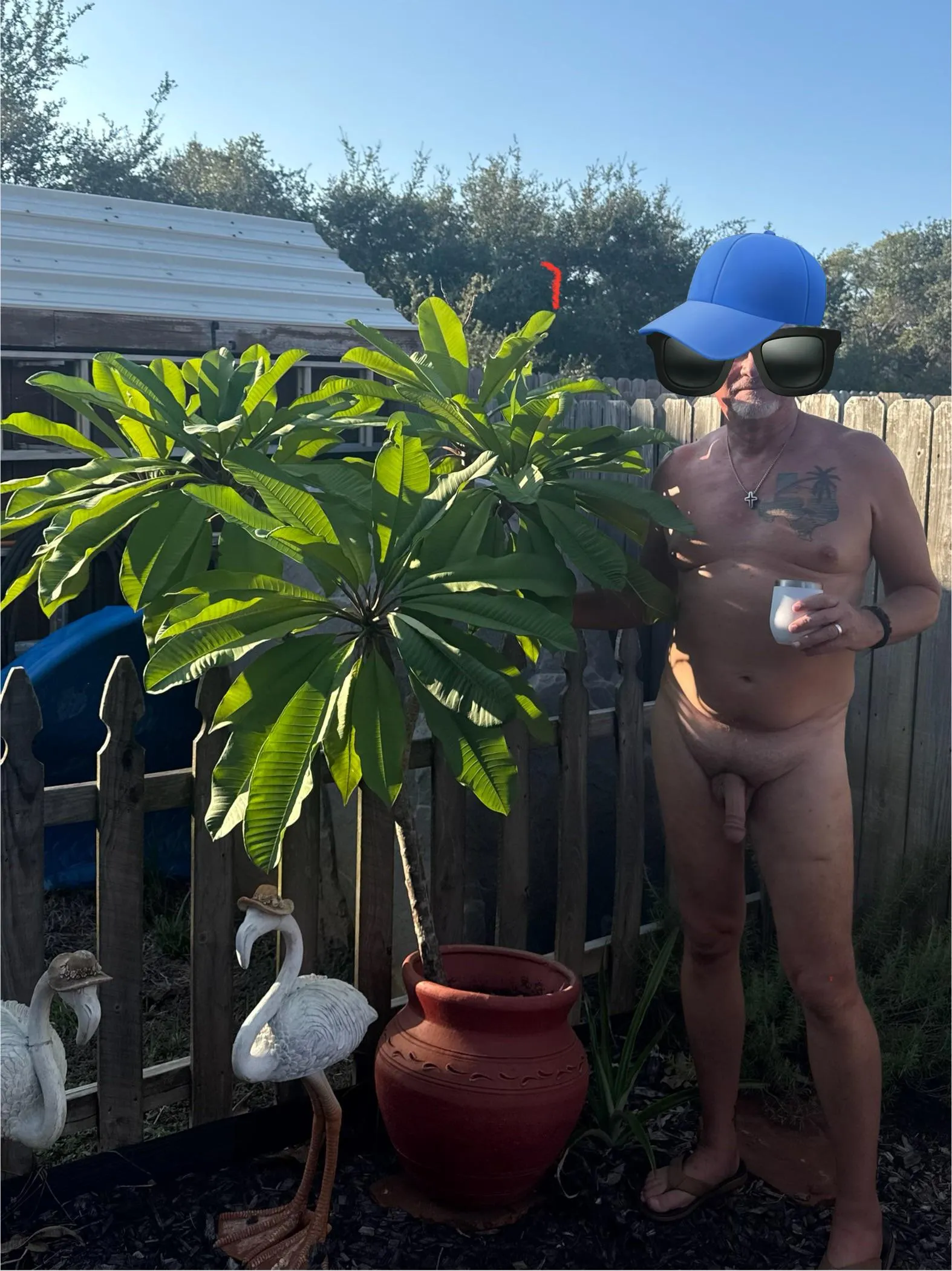 I love watching my plants grow.