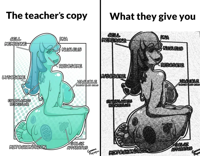 The mitochondria is the powerhouse of the cell (GammaPapayas)