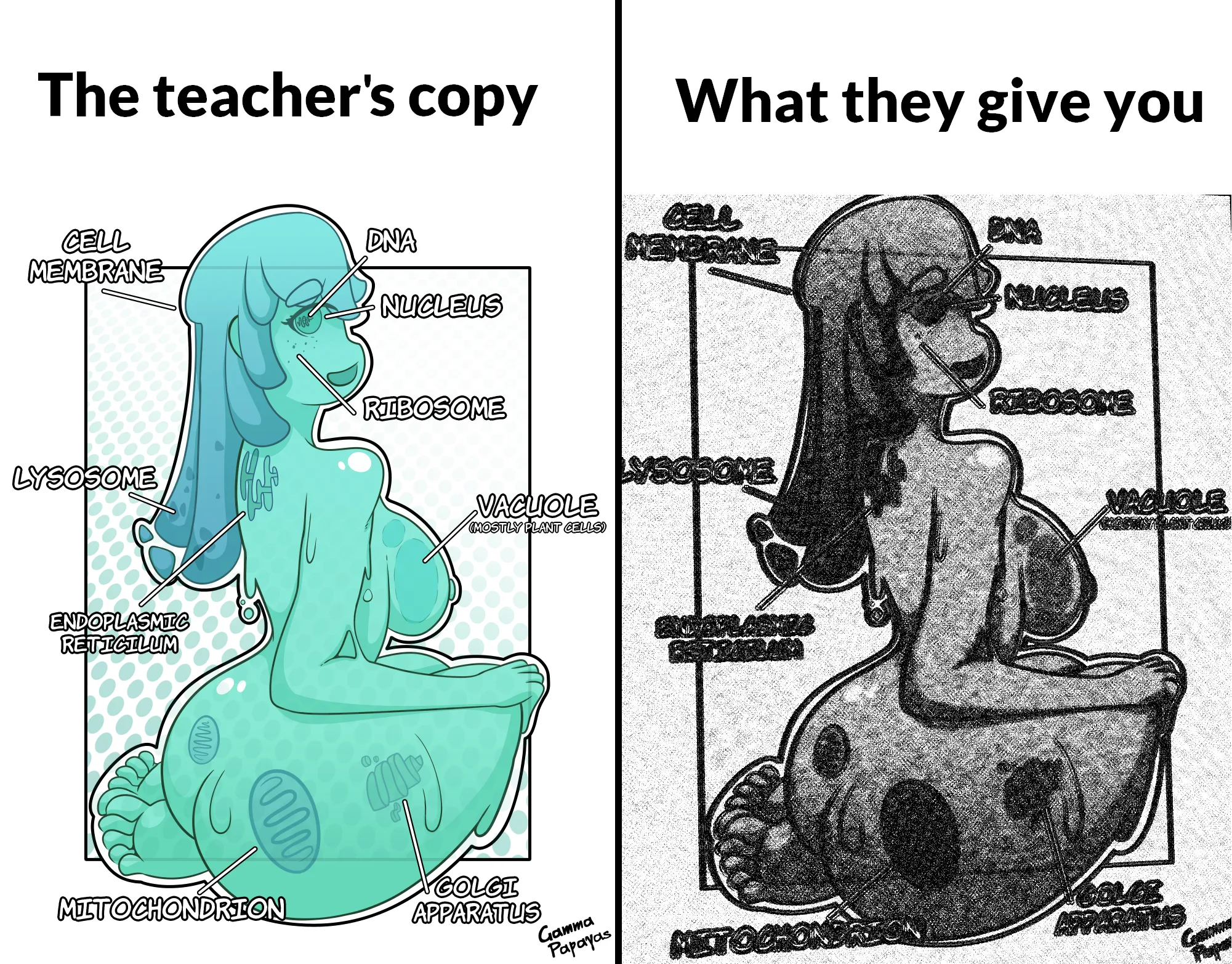 The mitochondria is the powerhouse of the cell (GammaPapayas)