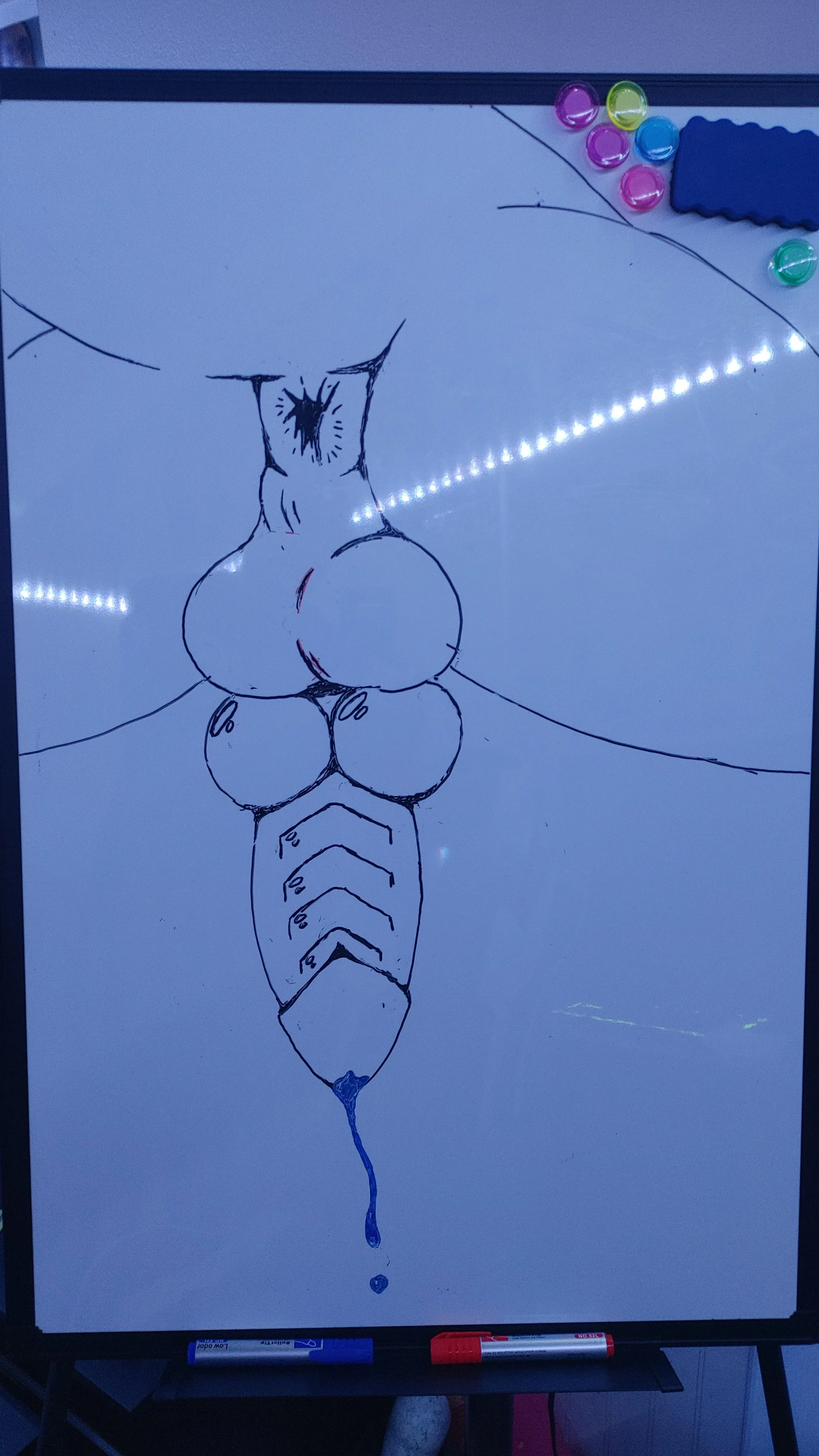 First real attempt at drawing dragon ass (and dick) with reference :3 [M] (OC)