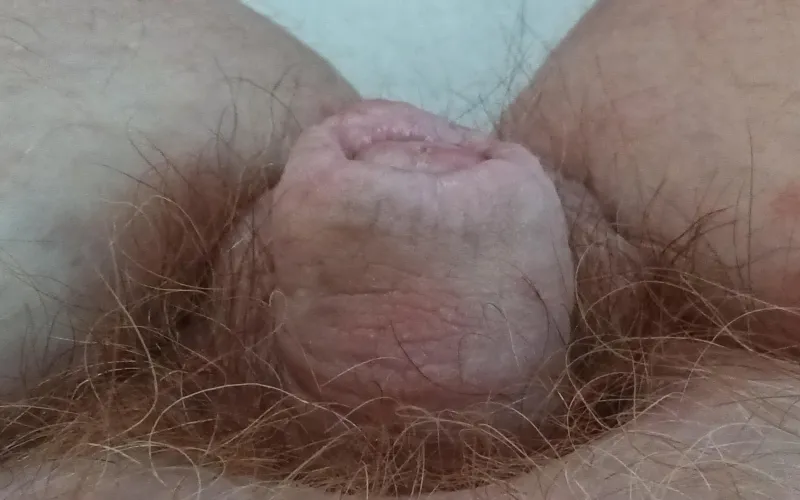 My tiny Cock