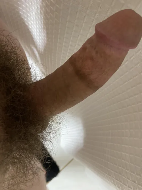 Should I get my balls and dick cut off