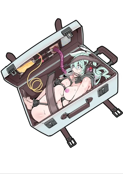 Brainwashing Transport Box.