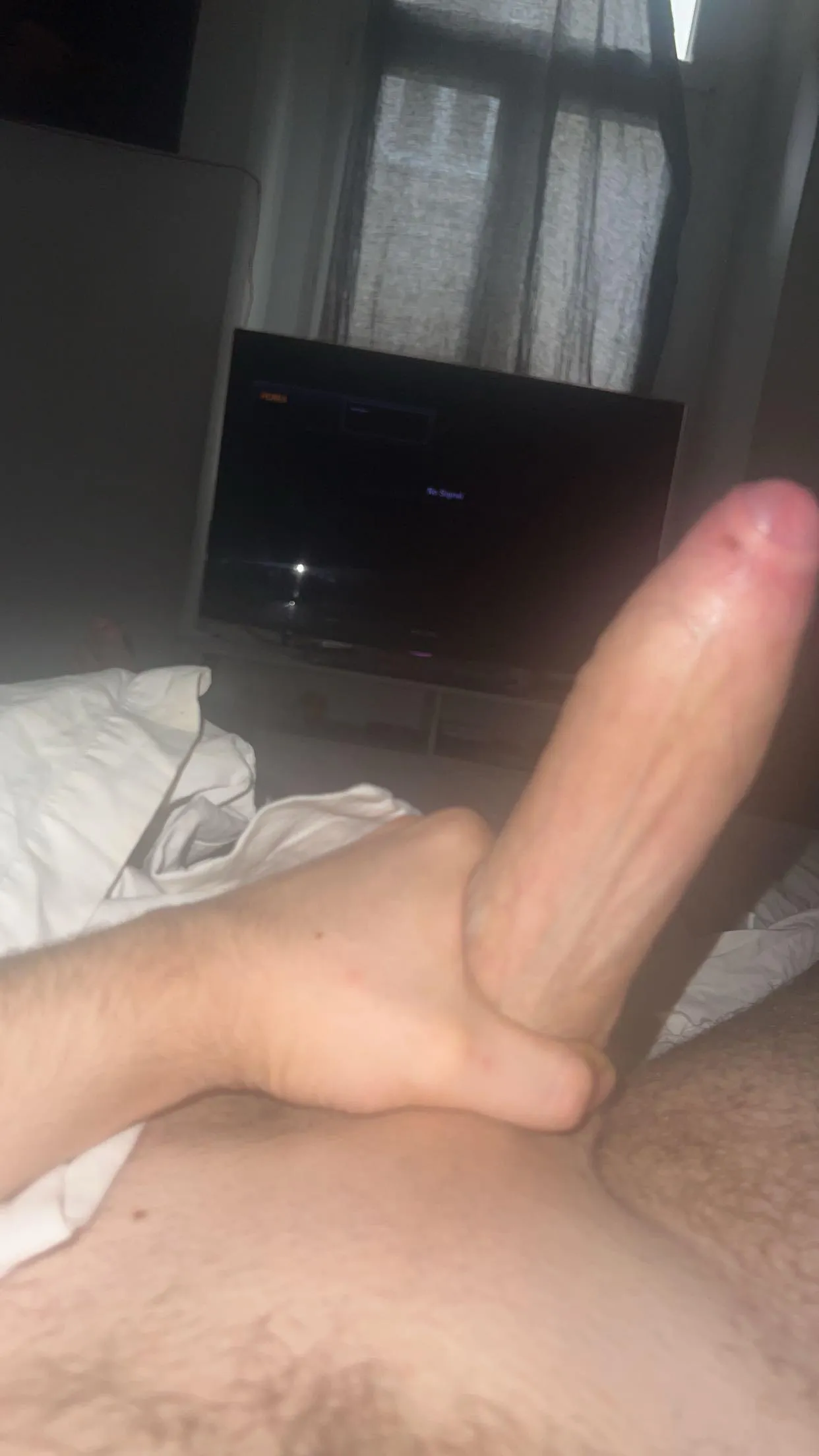 21M virgin bottom looking to be topped by trans :)