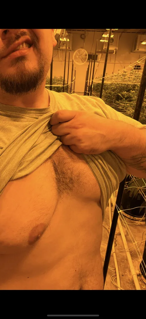 31m looking for my fwb near Lansing/ Charlotte