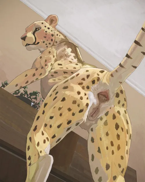 Under the cheetah. (cosmiclife) [F]