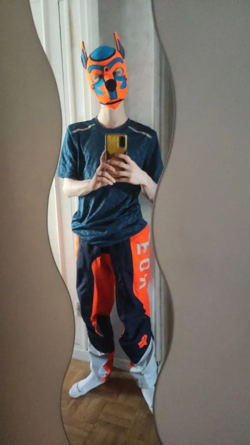 Am i a cute puppy 😏?