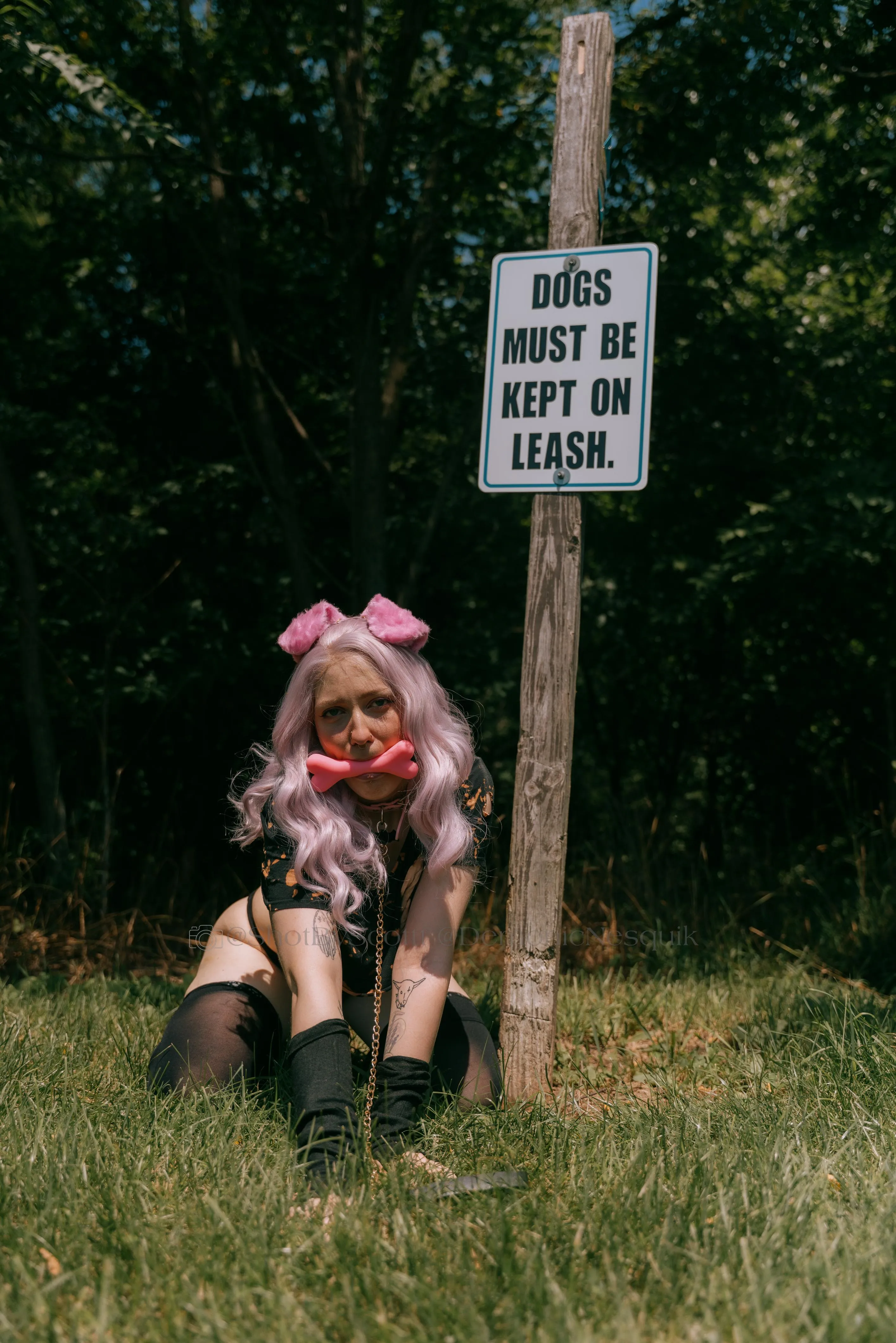 Breed me on our walk? [Oc]