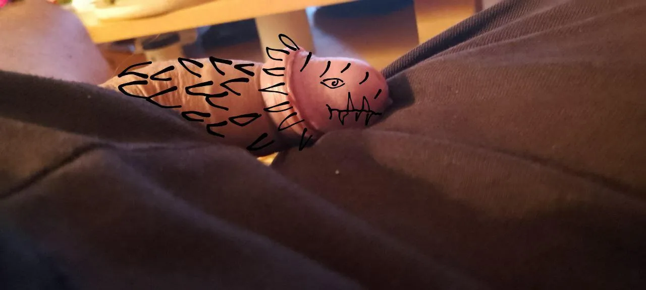 I found an animal....what is it?