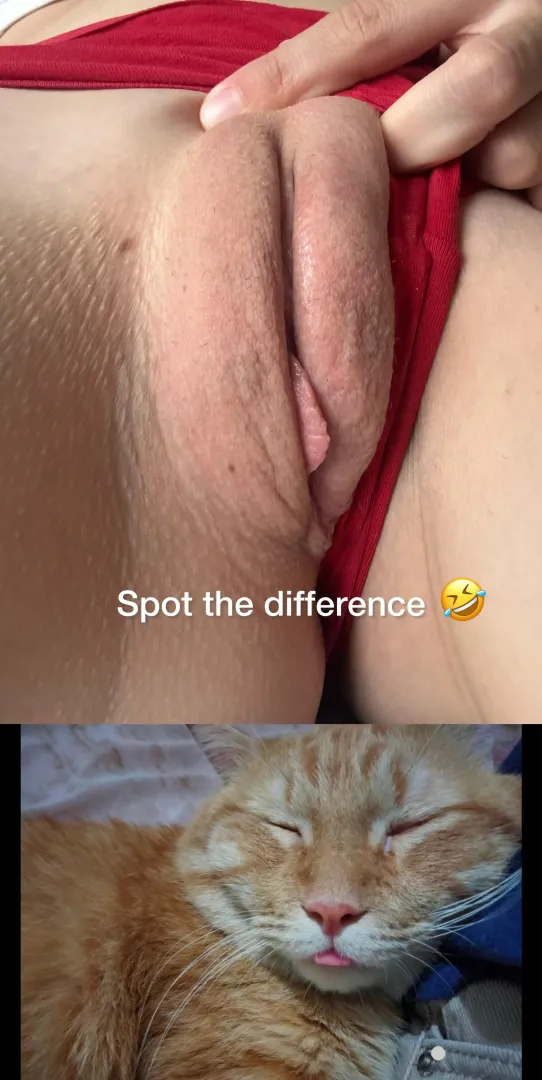 is this funny?
