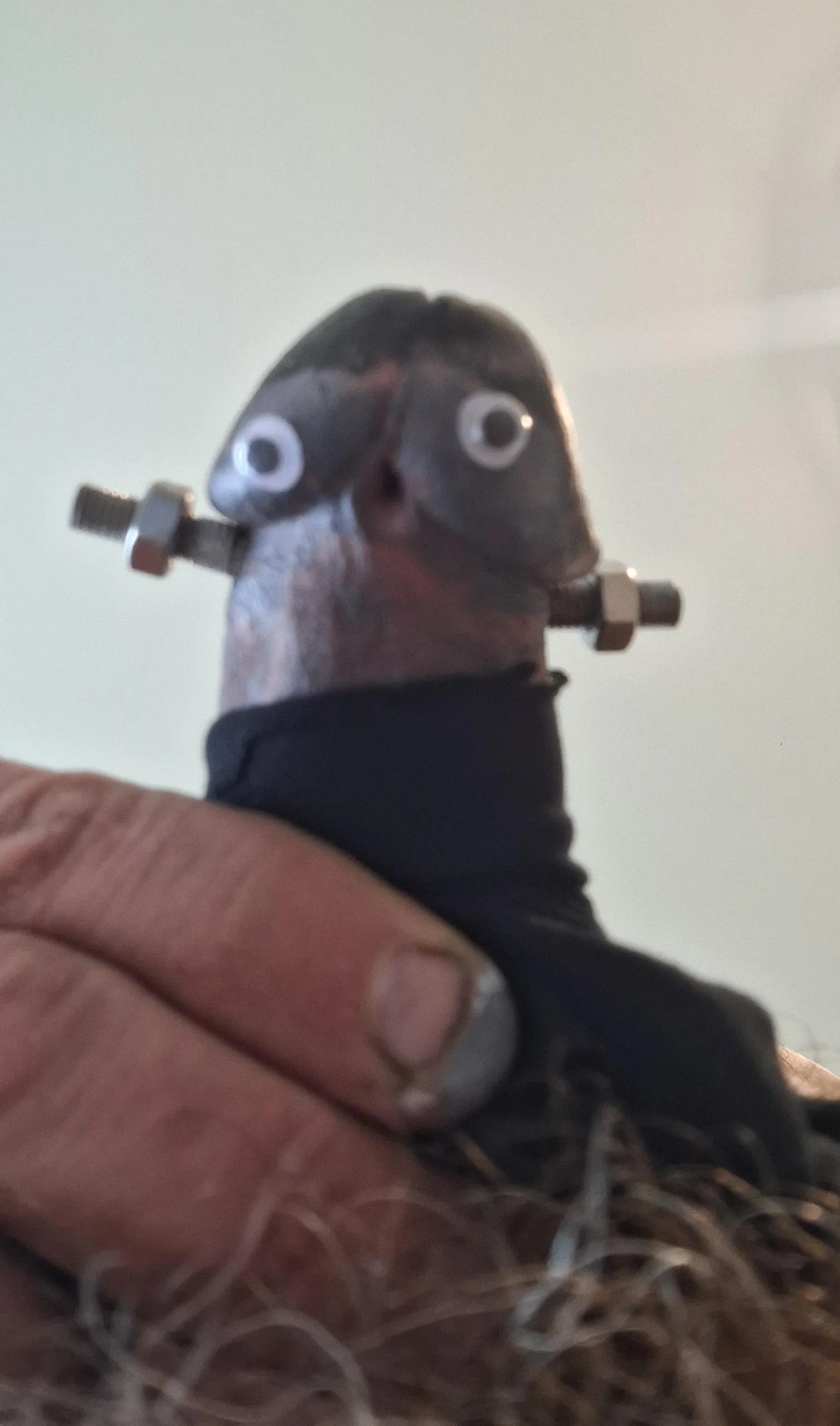 My Frankenweiner!