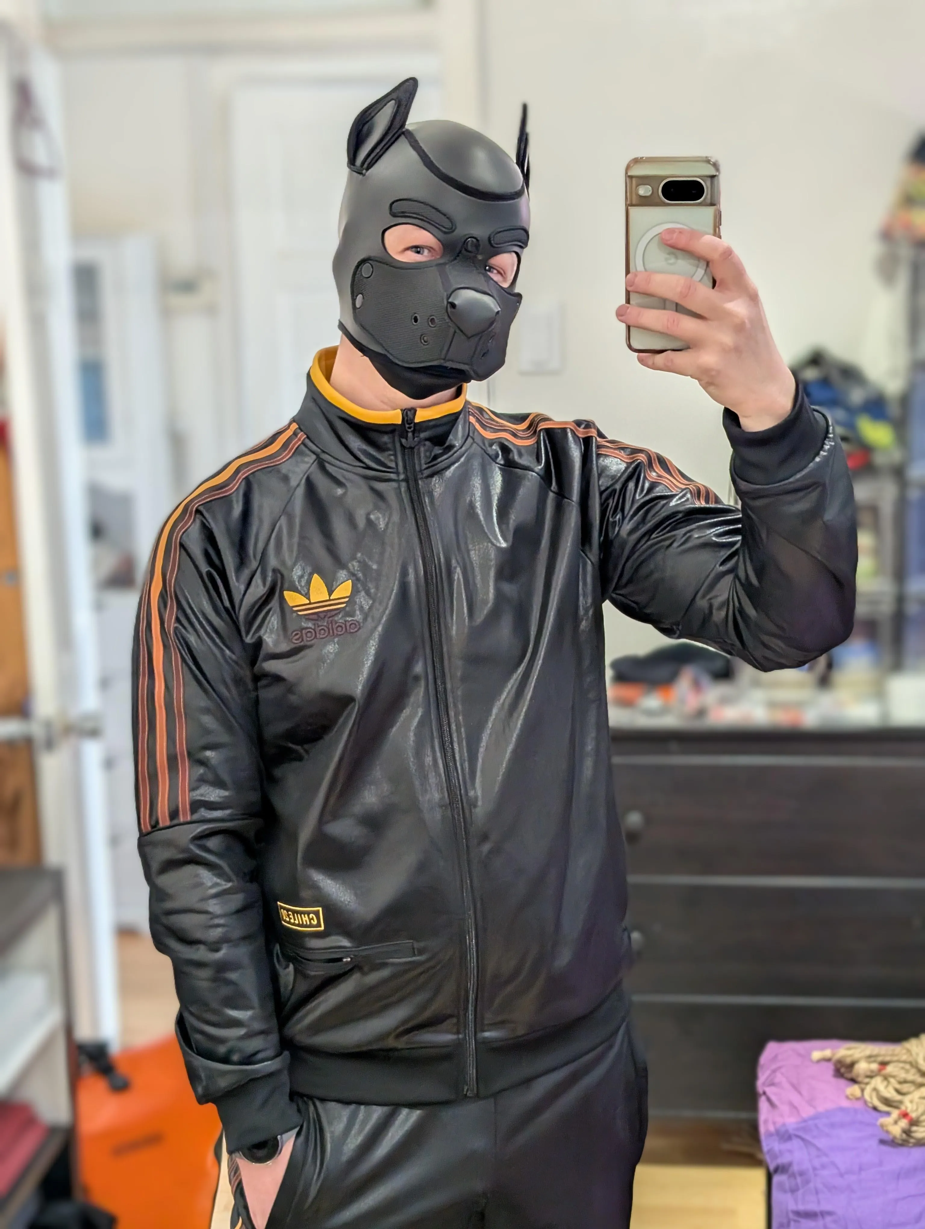 Scally Pup