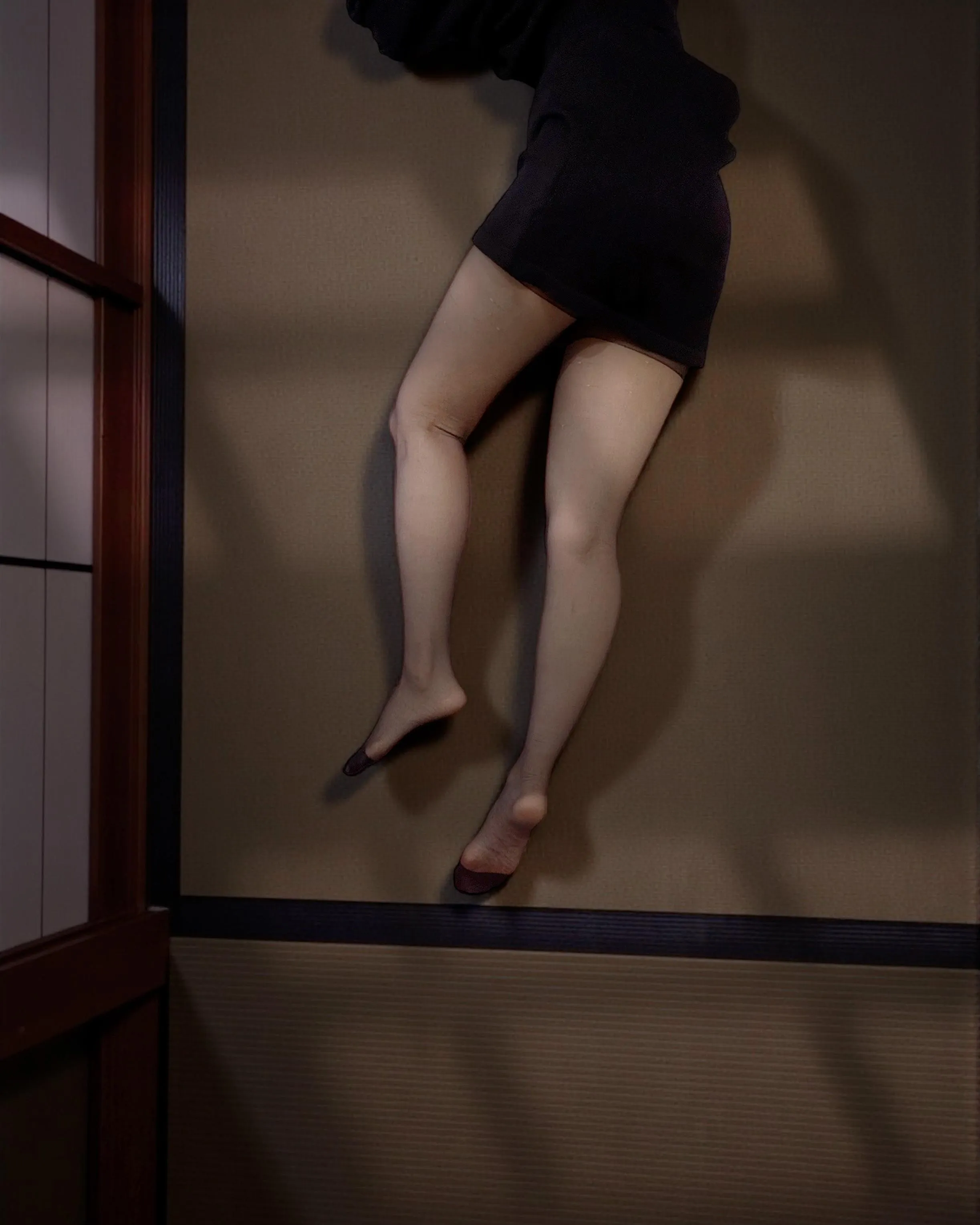 This is the world of old Japanese erotica.