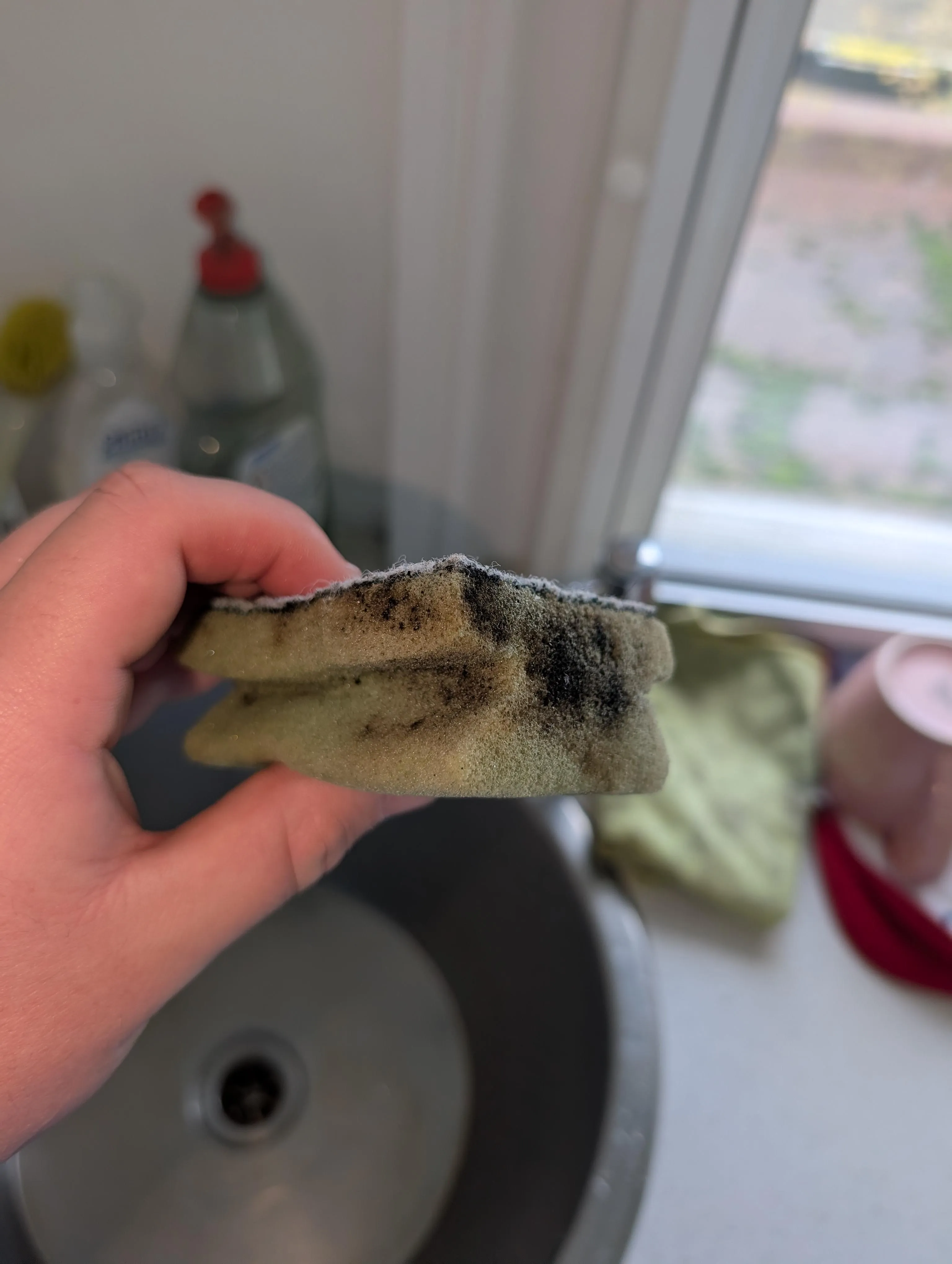 This is the sponge we clean the works mugs with.