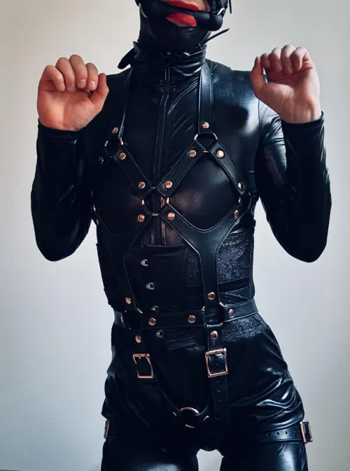 Still looking for my handler ❤️