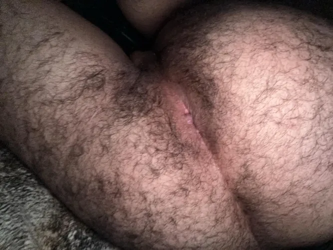 Any daddies wanna let me sit on their face? 20M DMs open