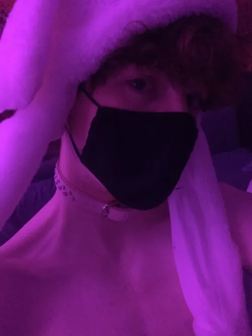 leash and collar meeeee :3