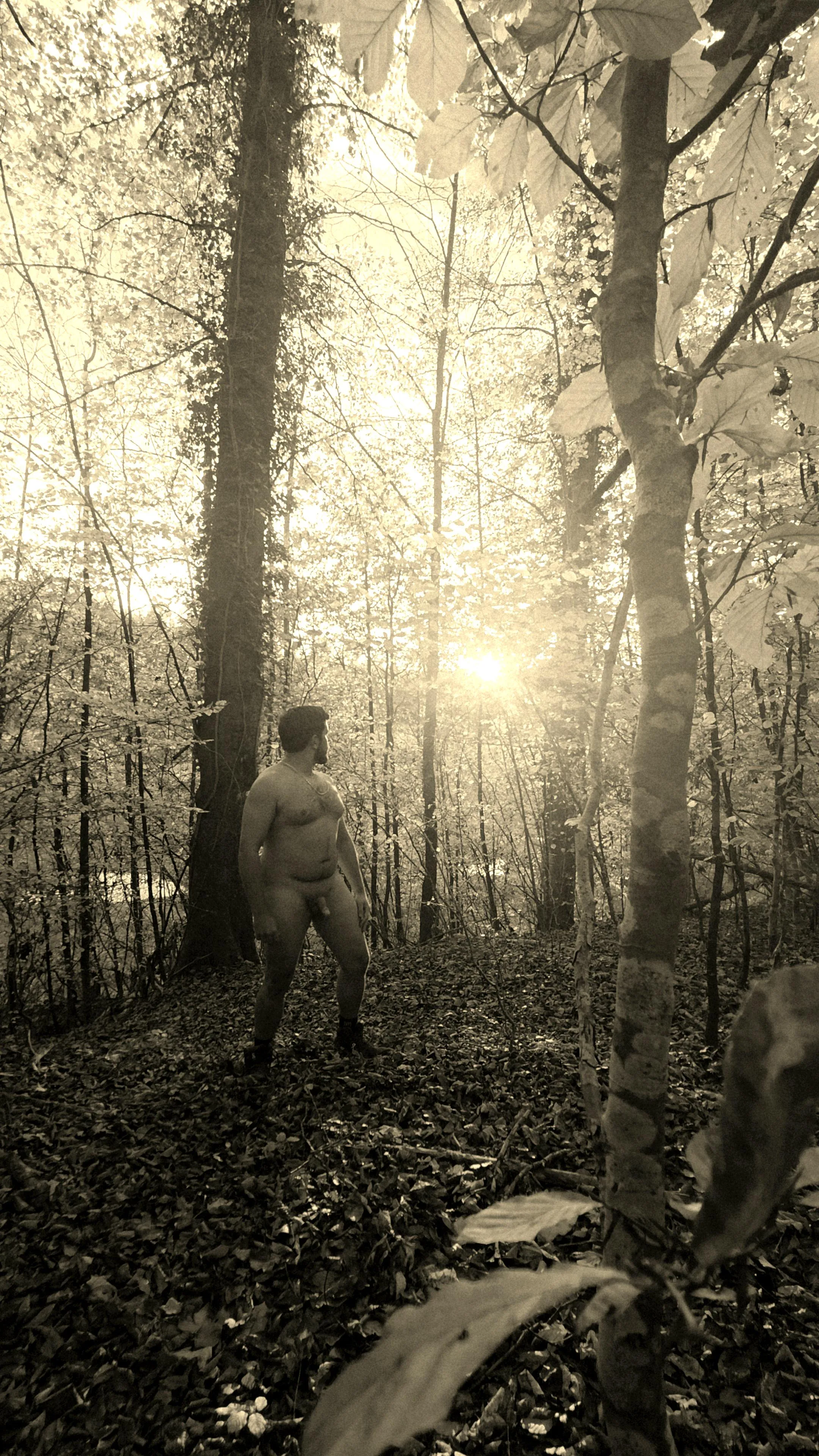 Lost in the woods, found in the moment. The only thing covering me is the changing light.