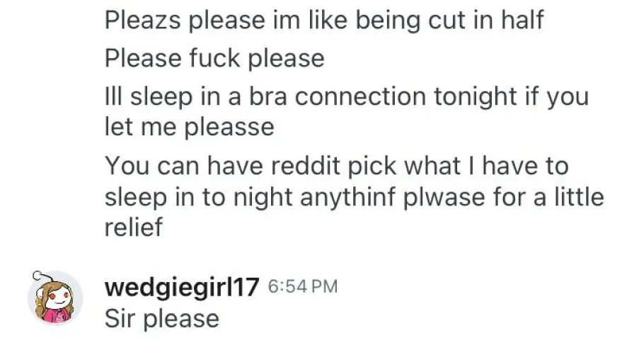 my dork is having the best day of her life. What do we think bullies? What should this dork sleep in tonight?