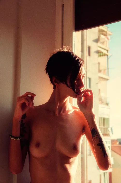 Requiem Magnolia, November 2013. [ OC ]