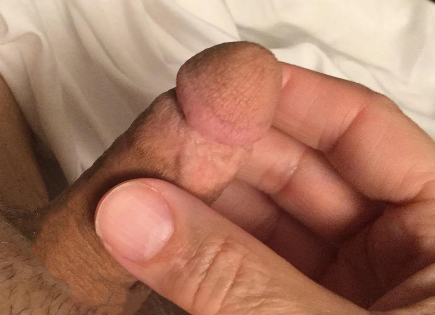 Saturday Morning Wood!