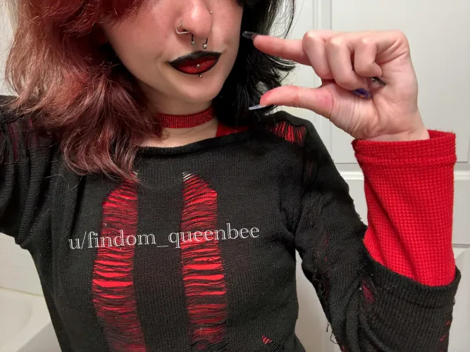 your tiny cock belongs locked up where nobody has to see it..