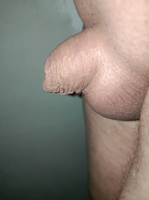 Any bigger then this tiny flaccid cock