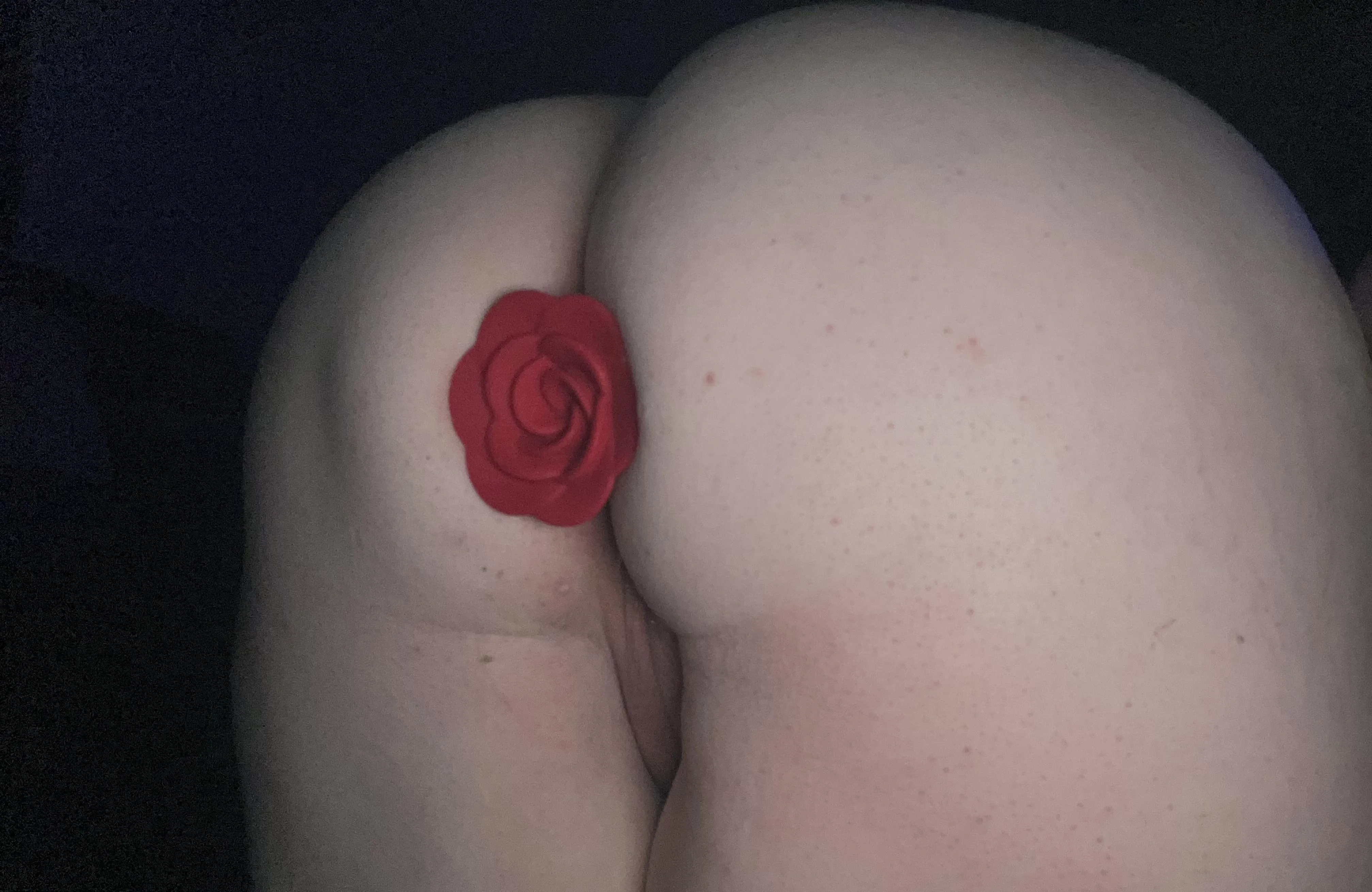 My biggest plug so far