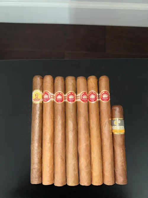 New Sir Winston HAUL