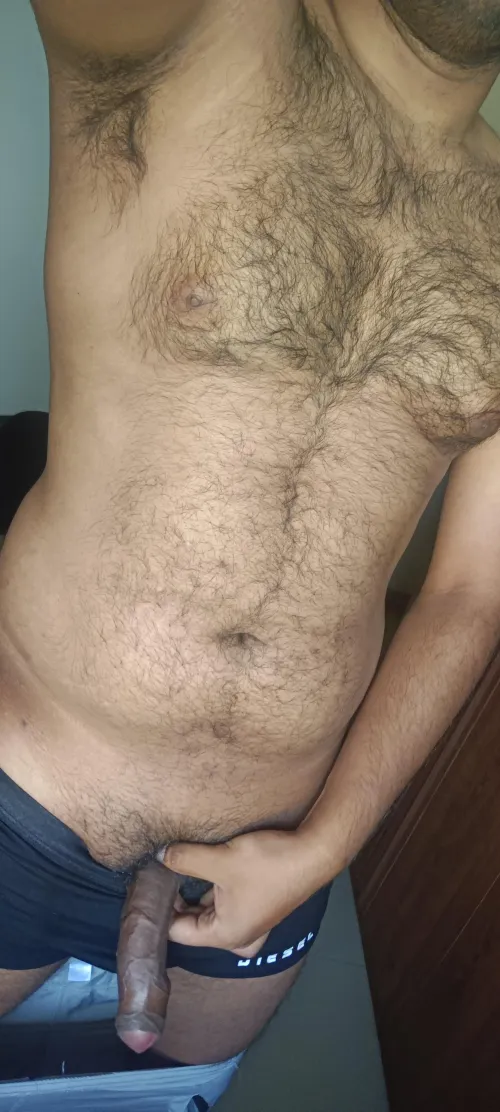 Desi bull cock for women