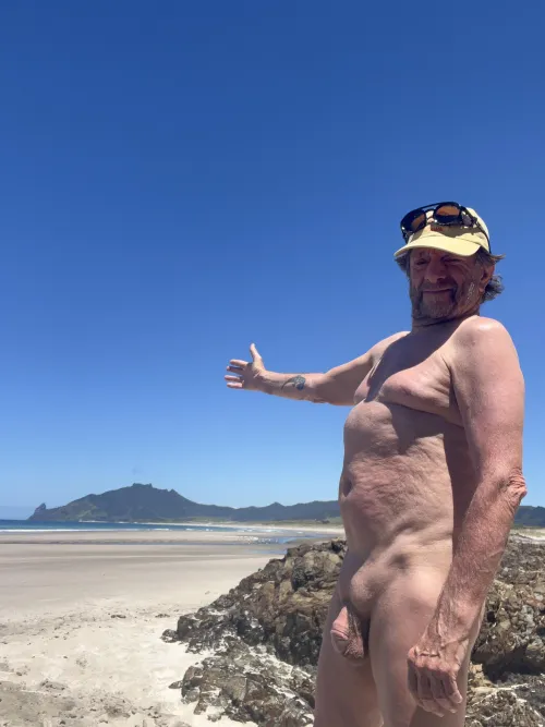 Kauri Mountain Beach, Whangārei New Zealand