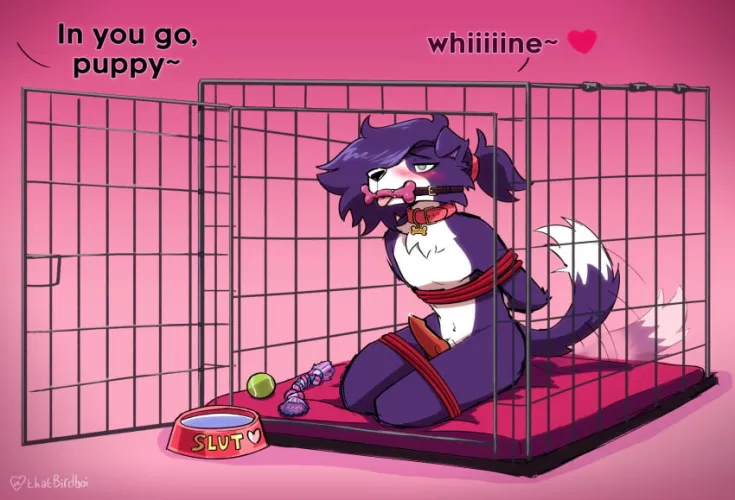 PUPPY DESPERATELY NEEDS OWNER TO LOCK PUPPY IN HER CAGE LIKE THISE >W<!!!!