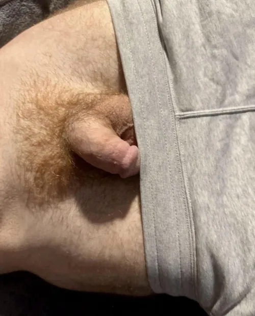 Straight so I haven’t seen many dicks other than in locker rooms/ around family and I gotta know how it really sizes up