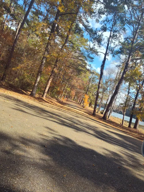 At the lake no single men