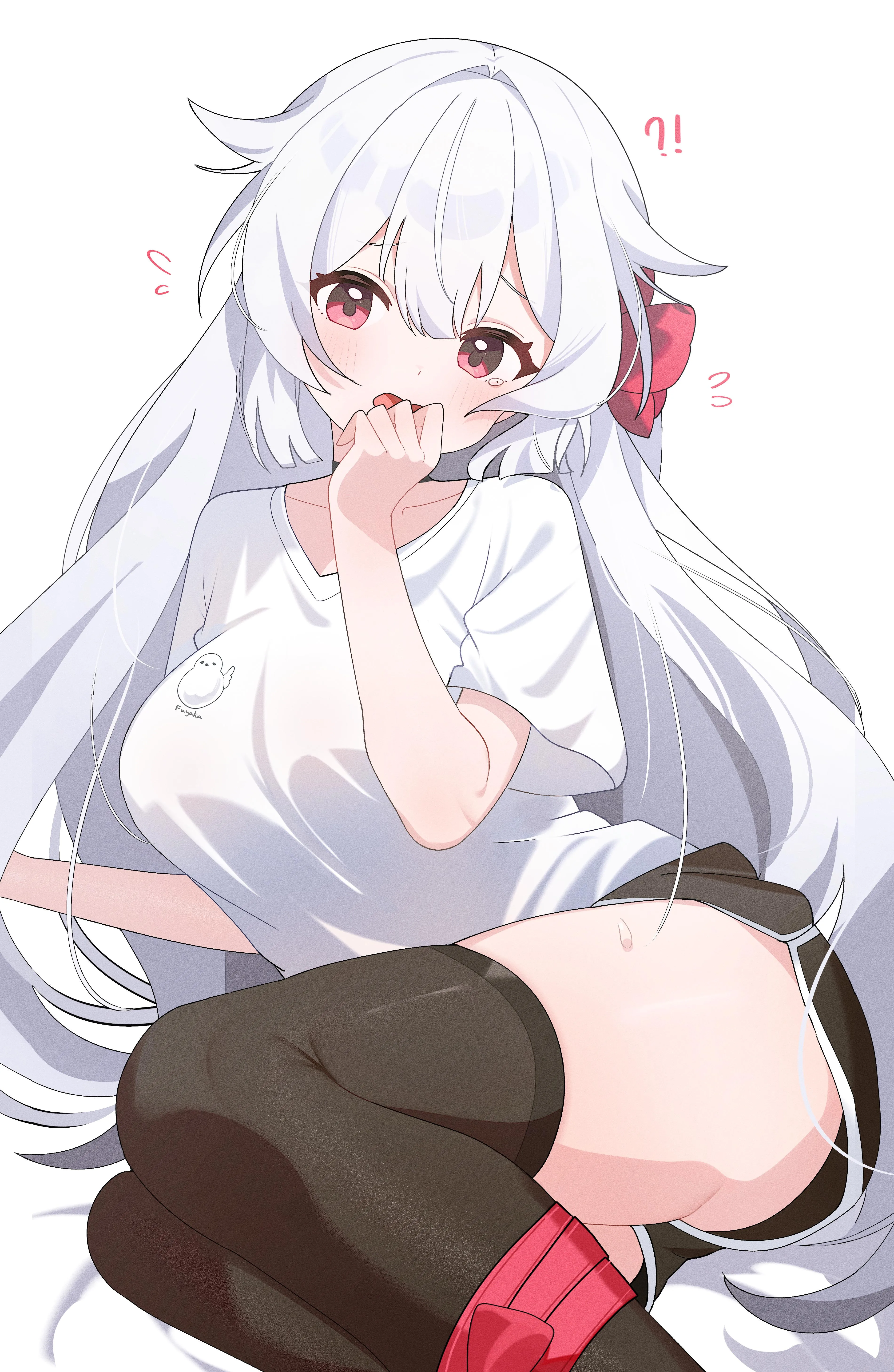 Fuyuka [Stella Sora]